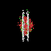 Last Frame of Animated Gif